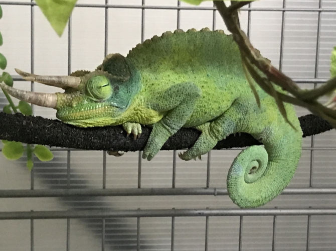 よく動きよく眠る