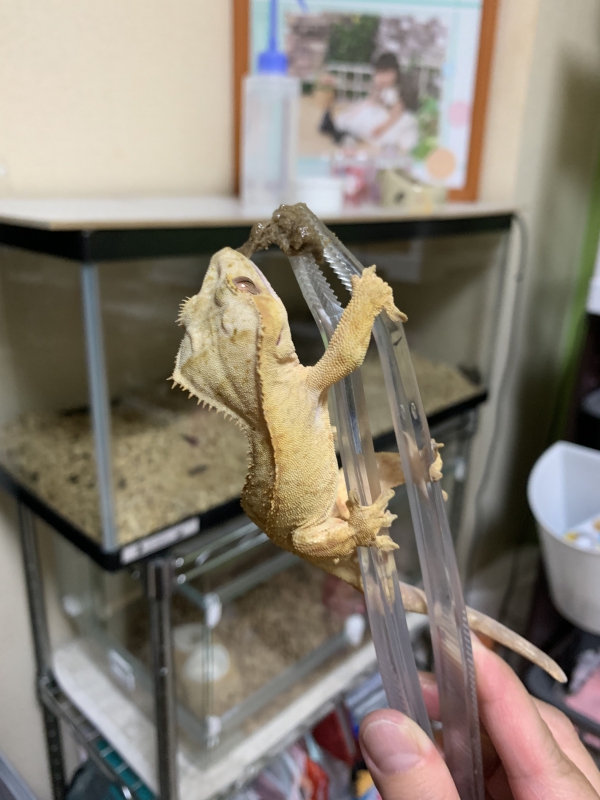 ごはん~(^^)