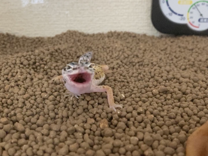 うわ〜〜〜‼︎‼︎