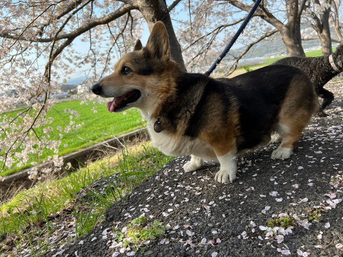 空(くう)