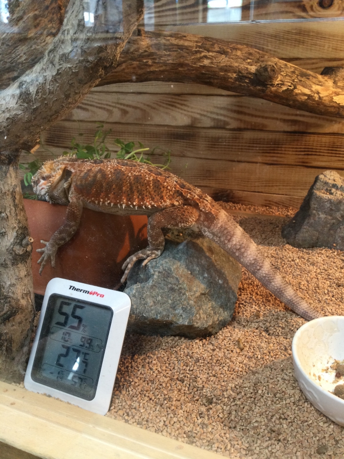 水はダイナミックに飲むのがいちばん！