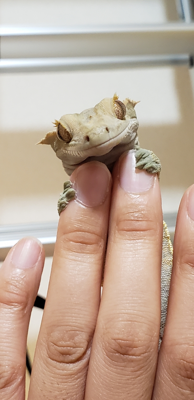 ボク、可愛いでしょ？