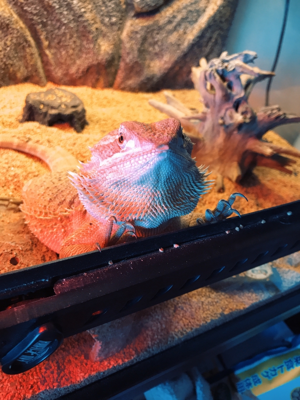 What's up,bro!!