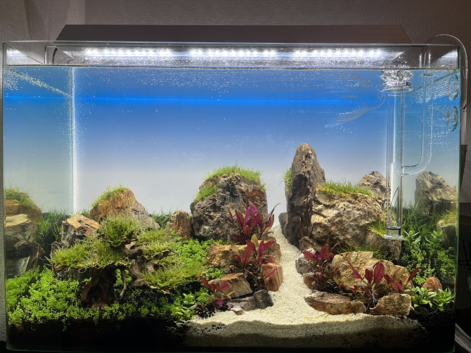 アクアリウム情報 | 金魚・メダカ・熱帯魚用品のジェックス