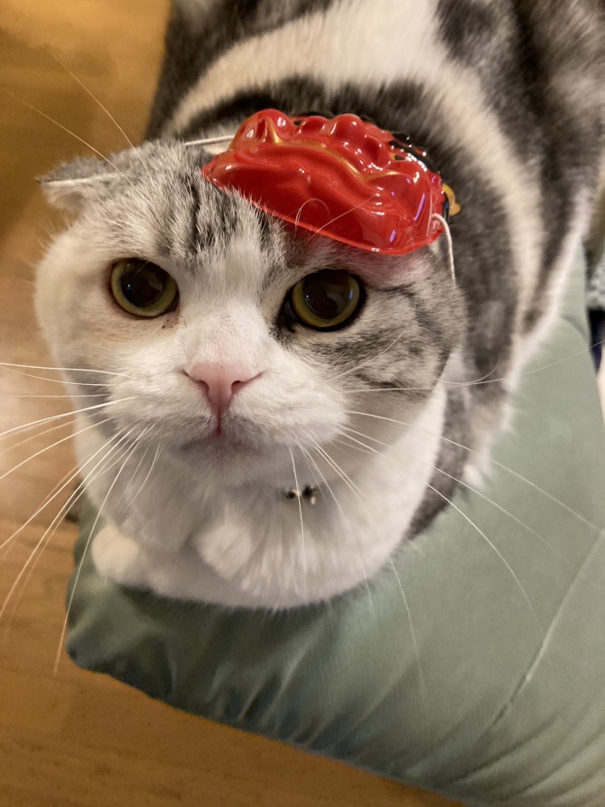 エリー