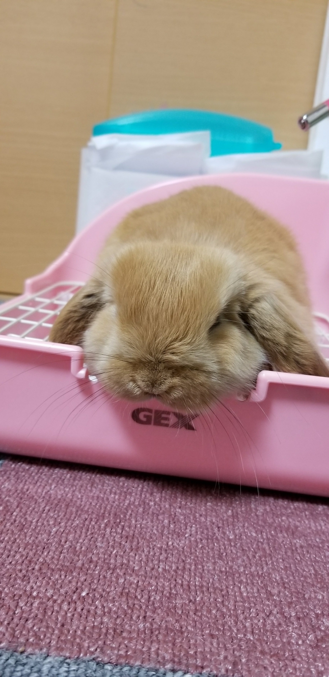 ムーちゃん