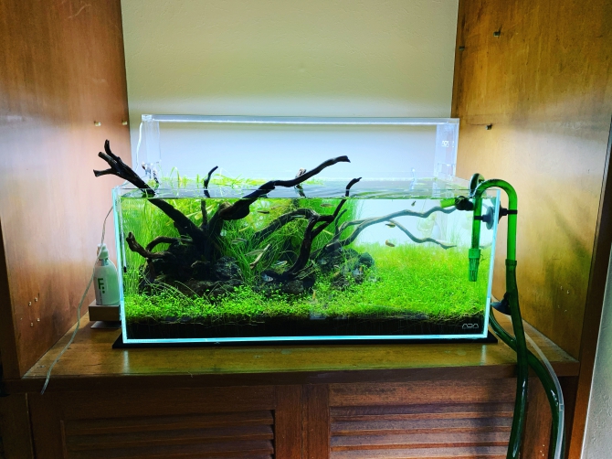 アクアリウム自慢：アーカイブ | 金魚・メダカ・熱帯魚用品のジェックス