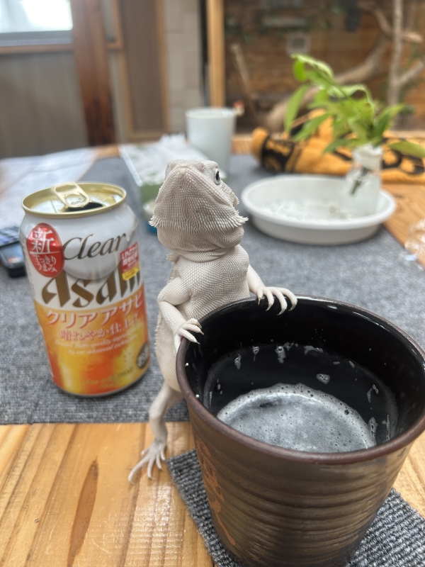 まだ暑い！暑い時にはコレに限る！