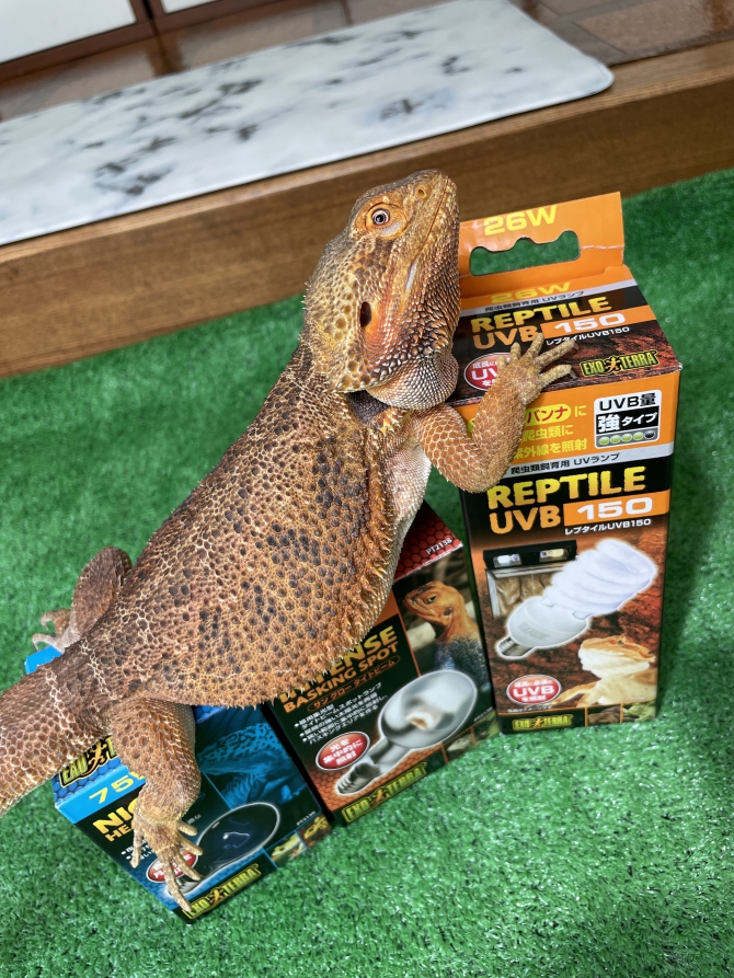ストックも大事