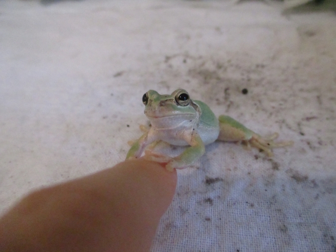 これからもずっと一緒だよ