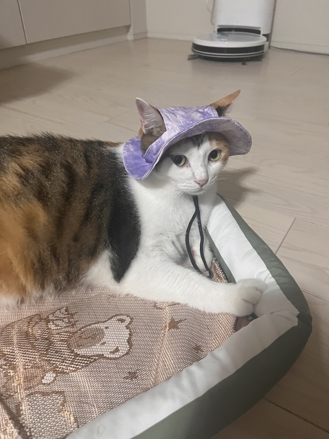 Qちゃん