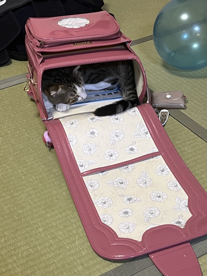 ちくわ