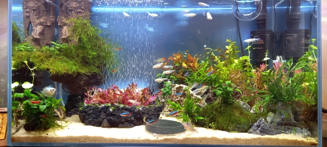 水槽リセット