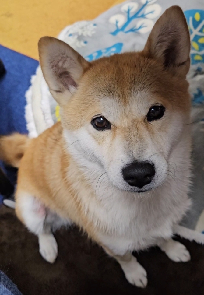 こと