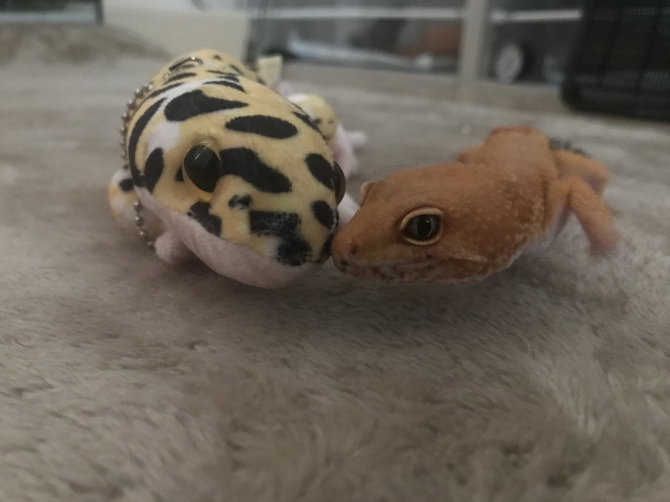 おともだち