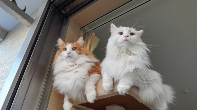 むぎ&みるく