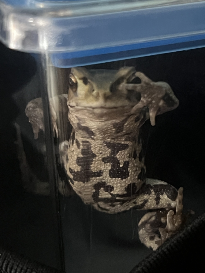 覗いたら…