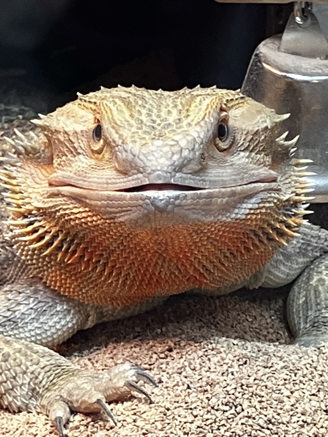 なによ？