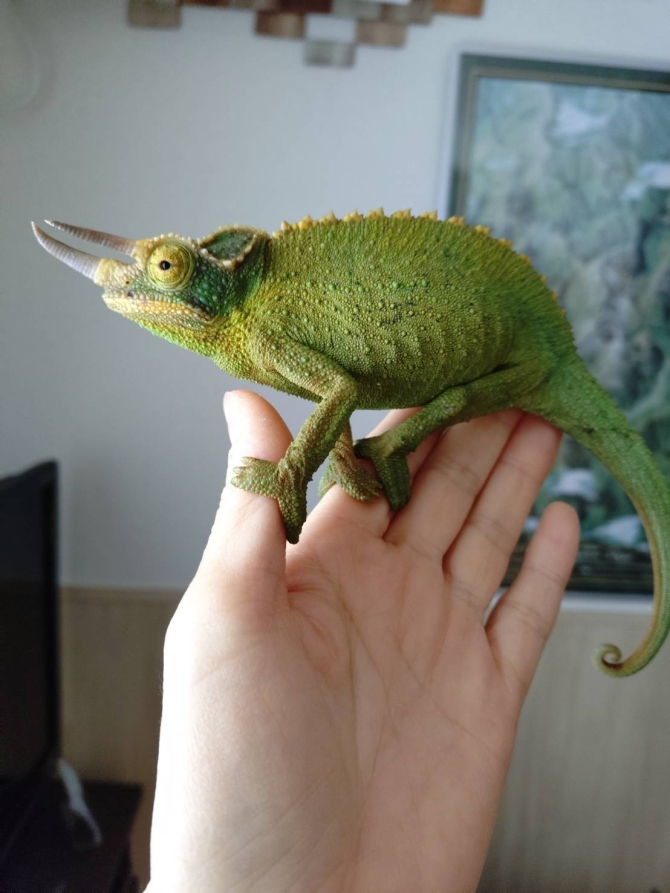 ナゴレプでお迎えしました！