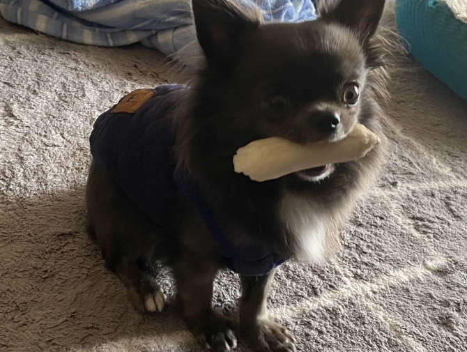 碧