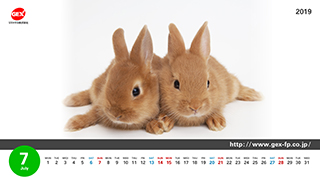 7月の壁紙ダウンロードを掲載しました！