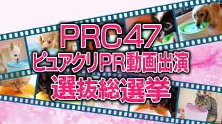 PRC47 ピュアクリPR動画出演 選抜総選挙