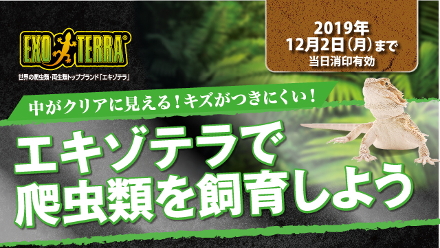 エキゾテラで爬虫類を飼育しようキャンペーン