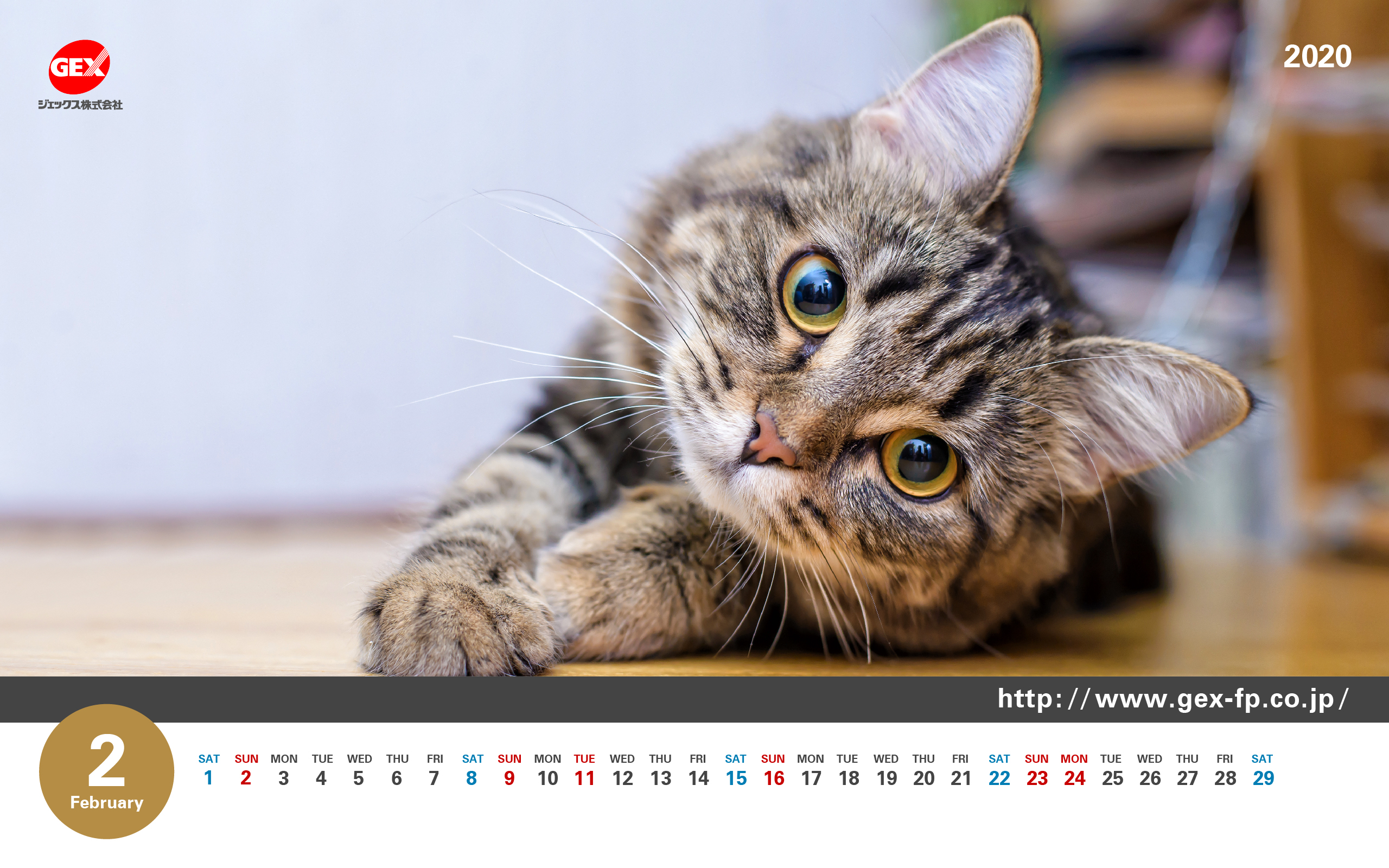 21年の最高 猫 デスクトップ 壁紙 Kabegamiiki