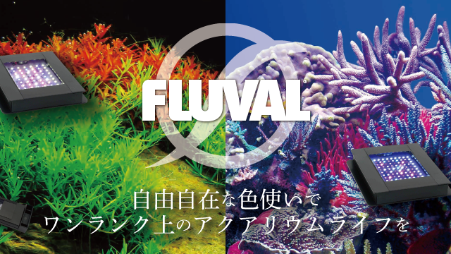 fluval