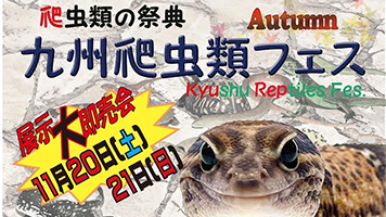 九州爬虫類フェス