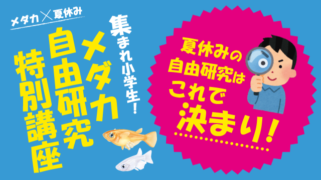 集まれ小学生！メダカ自由研究特別講座