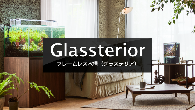 glassterior　グラステリア