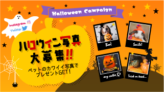 ペットの写真投稿でプレゼントをもらおう！ハロウィンキャンペーン★