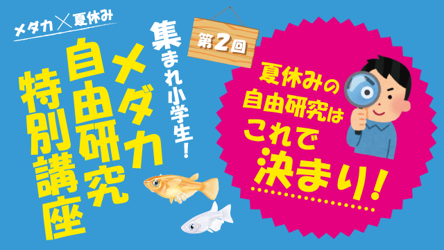 第2回 集まれ小学生！メダカ自由研究特別講座