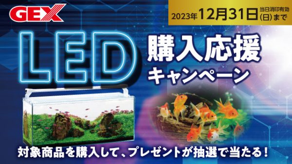 LED購入応援キャンペーン2023