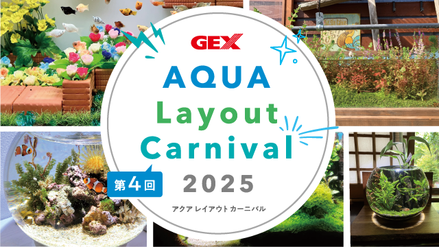 GEX アクア レイアウトカーニバル2025