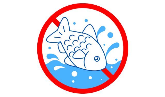 観賞魚には人為的に作出された種類がいます