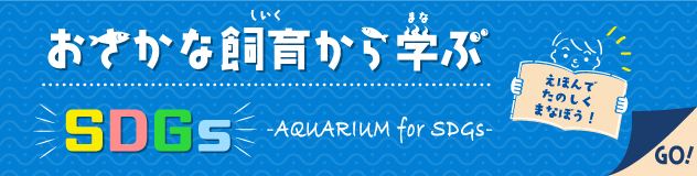 おさかな飼育から学ぶSDGs