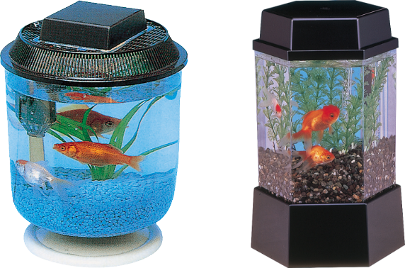 観賞魚用品