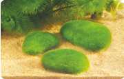 Little Rocks