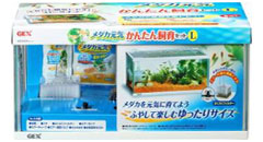 Killifish Starter Kit L