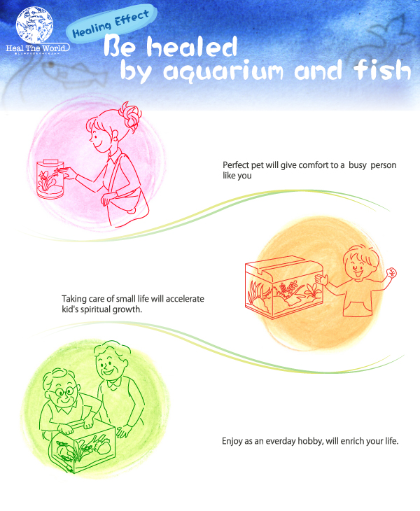 Be healed by aquarium and fish