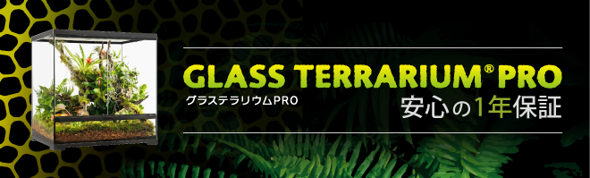 GLASS TERRARIUM PRO グラステラリウムPRO　1年保証