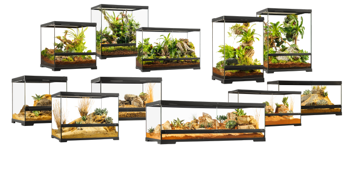 エキゾテラのグラステラリウム