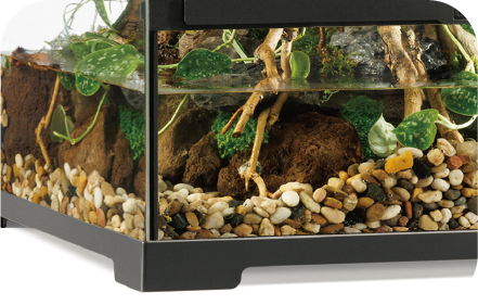 グラステラリウムPRO特長5