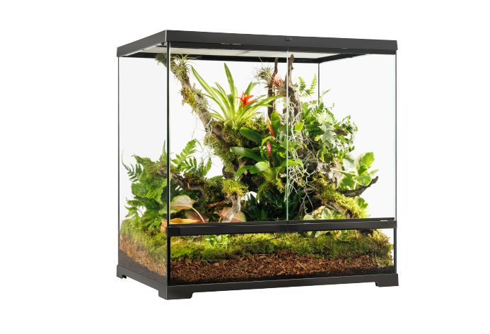 GLASS TERRARIUM PRO