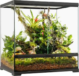 GLASS TERRARIUM PRO