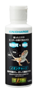 ION CHARGE イオンチャージ