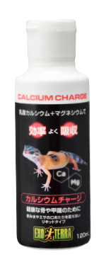CALCIUM CHARGE カルシウムチャージ