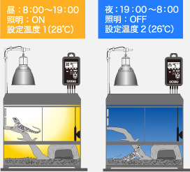 昼：8:00～19:00 照明ON 設定温度1（28℃）　夜：8:00～19:00 照明OFF 設定温度2（26℃）